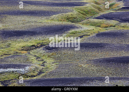 Vue sur le champ de lave et de la mousse autour d'eau qui coule à travers les champs en Islande Banque D'Images