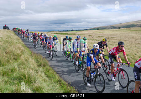 Caldbeck fells, Cumbria, Royaume-Uni. 5 Septembre, 2016. Cumbrie, étape 2, Tour de Bretagne 05-09-16. Sur les landes sur le Caldbeck fells, le peloton principal vient sur le front d'une colline avant de commencer la descente vers Uldale. Credit : Julie friteuse/Alamy Live News Banque D'Images