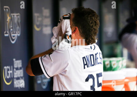 Saint Petersburg, Florida, USA. 12Th Mar, 2016. Rays de Tampa Bay le lanceur partant Matt Andriese (35) dans l'étang après le haut de la cinquième manche du match entre les Orioles de Baltimore et les Rays de Tampa Bay au Tropicana Field à Saint-Pétersbourg, en Floride, le lundi 5 septembre 2016. Credit : Vragovic/Tampa Bay Times/ZUMA/Alamy Fil Live News Banque D'Images