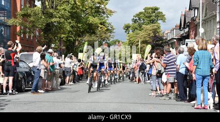 Wilmslow, Cheshire, Royaume-Uni. Sep 6, 2016. Les coureurs traversent en gamme Alderley Edge sur la troisième étape du Tour de Grande-Bretagne. La course a débuté à Glasgow le 4 et se termine à Londres le 8, composé de 21 équipes de six coureurs, y compris multi-médaillé d'or olympique Bradley Wiggins, meilleurs sprinters Mark Cavendish et André Greipel et Elia Viviani, qui a battu Cavendish pour l'or à Rio. Crédit : John Fryer/Alamy Live News Banque D'Images