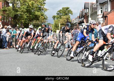 Wilmslow, Cheshire, Royaume-Uni. Sep 6, 2016. Les coureurs traversent en gamme Alderley Edge sur la troisième étape du Tour de Grande-Bretagne. La course a débuté à Glasgow le 4 et se termine à Londres le 8, composé de 21 équipes de six coureurs, y compris multi-médaillé d'or olympique Bradley Wiggins, meilleurs sprinters Mark Cavendish et André Greipel et Elia Viviani, qui a battu Cavendish pour l'or à Rio. Crédit : John Fryer/Alamy Live News Banque D'Images