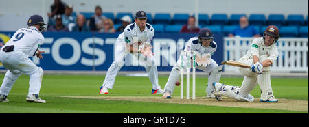 Londres, Royaume-Uni. 6 septembre 2016. Rory Burns sweeps pour quatre descentes de Surrey au bâton lors de la première journée de la Division d'un Championnat Specsavers County match contre Hampshire à l'Ovale. David Rowe/Alamy live news. Banque D'Images