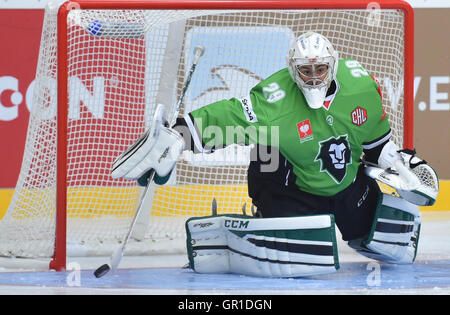 Mlada Boleslav, République tchèque. 06 Sep, 2016. Gardien de BK Mlada Boleslav Jan Lukas en action pendant le match BK Mlada Boleslav vs Minsk Junost match de la Ligue des champions de hockey sur glace, groupe G à Mlada Boleslav, République tchèque, le 6 septembre 2016. © Radek Petrasek/CTK Photo/Alamy Live News Banque D'Images