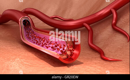 Vaisseau sanguin macro en tranches aux érythrocytes médicalement , illustration 3D précis Banque D'Images