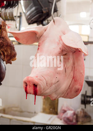 Tête de cochon avec du sang dégoulinant les narines. L'abattage d'une tête de cochon rose coupée dans un marché de viande de Valladolid. Banque D'Images