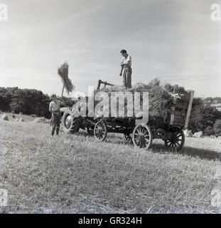 Années 1950, historiques, de l'agriculture, une jeune femme à l'aide d'une fourche pour soulever le foin d'un champ fauché et pile sur une remorque en bois relié à un tracteur. Un jeune homme se tient sur le foin sur la remorque. Banque D'Images