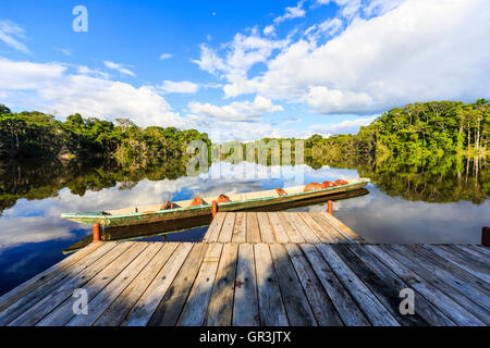 Canoë sur la lagune Garzacocha dans la forêt tropicale amazonienne au Lodge la Selva sur la rivière Napo, Équateur, Amérique du Sud par une journée ensoleillée Banque D'Images