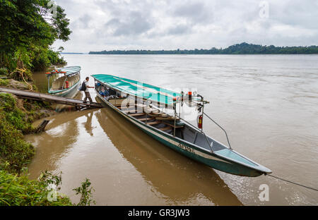 Canoë motorisé sur le fleuve Napo dans la forêt tropicale amazonienne à La Selva lodge, Équateur, Amérique du Sud Banque D'Images
