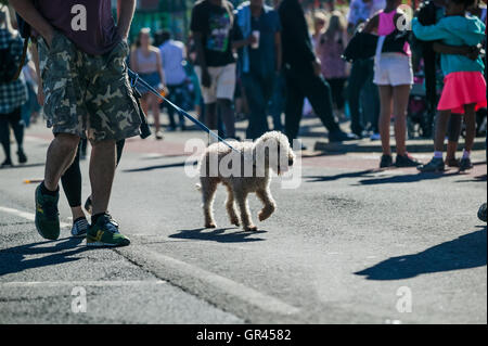 Leeds West Indian Carnival 2016,49ème anniversaire de Leeds carnival Banque D'Images