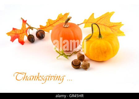 Les citrouilles miniatures colorés, feuilles de chêne et de glands sur un fond blanc en format horizontal Banque D'Images