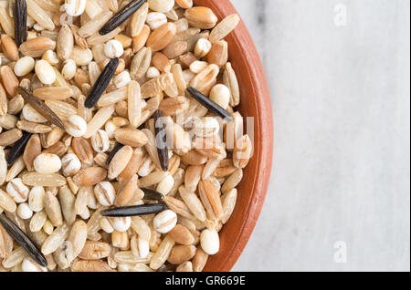 Haut de page Fermer la vue d'un petit bol rempli de plusieurs variétés de riz et de céréales au-dessus d'une table de marbre. Banque D'Images