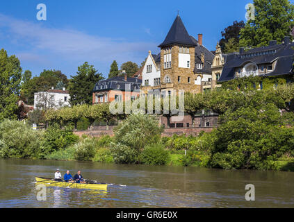 Les adeptes du sur le Neckar à Heidelberg Banque D'Images