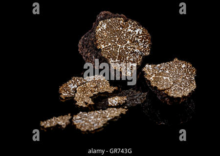 Tranches de truffes noires sur fond noir Banque D'Images