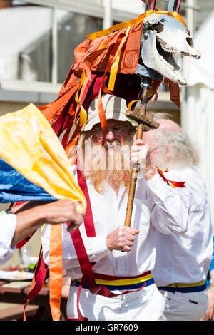 L'Angleterre, Broadstairs Semaine folklorique. Madcap Morris côté. Homme barbu Senior agissant en tant qu'animal, Morris holding horse crâne et glands sur poteau. Banque D'Images