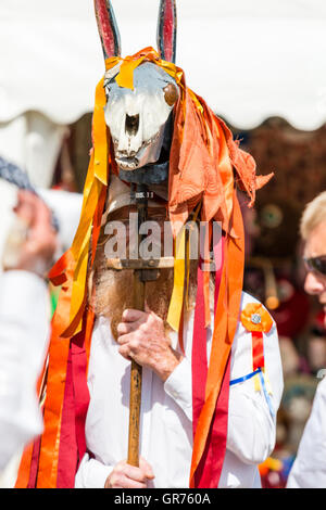 L'Angleterre, Broadstairs Semaine folklorique. Madcap Morris côté. Homme barbu Senior agissant en tant qu'animal, Morris holding horse crâne et glands sur poteau. Banque D'Images