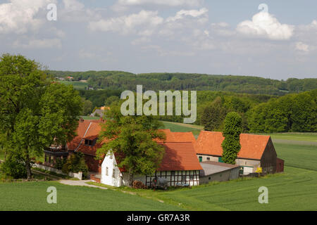 Ferme en mai, Osnabrück Land, Basse-Saxe, Allemagne, Europe Banque D'Images