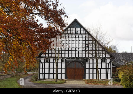 Maison Half-Timbered à Hagen, Osnabruecker Pays, Basse-Saxe, Allemagne, Europe Banque D'Images