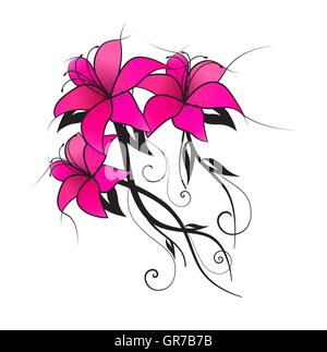 Lily rose vecteur Illustration de Vecteur