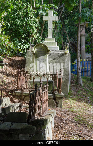 Les pierres tombales dans le cimetière de la rue Bowen, Wellington, Île du Nord, Nouvelle-Zélande Banque D'Images