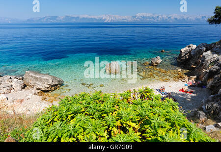 Belle plage sur l'île Mljet, Dalmatie, Croatie Banque D'Images