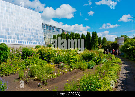 Botaanikaaed, Botanical garden, Tartu, Estonie, pays Baltes, Europe Banque D'Images