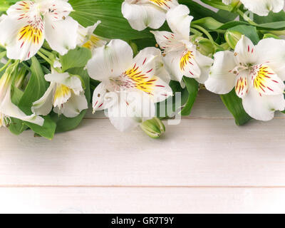 L'alstroemeria blanc fleurs lys péruviens ou sur les planches en bois Banque D'Images