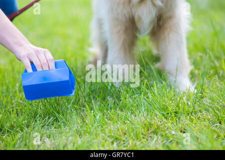 Propriétaire de chien de compensation avec une pelle Pooper Mess Banque D'Images