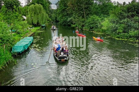 Le Spreewald à Brandebourg Banque D'Images