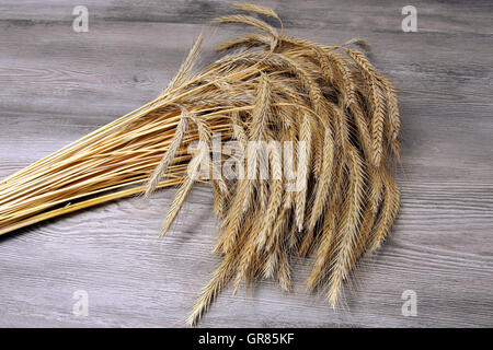 Oreilles de seigle Banque D'Images