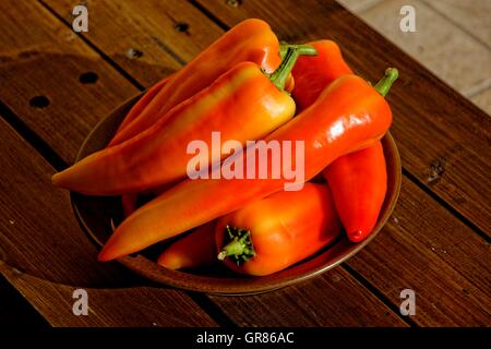 Piment Hongrois Hongrois Type Wax, Capsicum annuum Banque D'Images