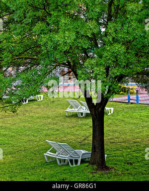 Des chaises blanches sous un arbre dans la piscine Banque D'Images