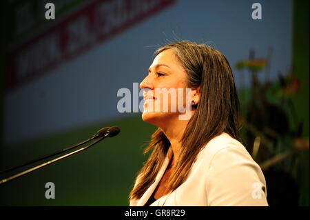 Le député-maire de Vienne, Maria Vassilakou-The verts Banque D'Images