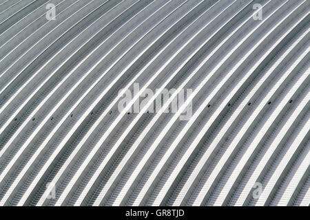 Toit en tôle d'aluminium de la courbe, l'usine d'acier Banque D'Images