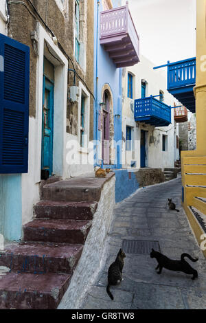 Ruelle avec ses maisons colorées et les chats dans le village traditionnel de Mandraki, Nisyros island, Grèce Banque D'Images