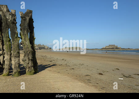 Plage de Saint Malo avec épis à marée basse, Bretagne, France Banque D'Images