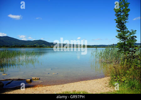 Bord du lac Kochel des Alpes en Bavière en été Banque D'Images