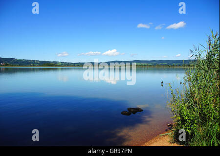 Bord du lac Kochel des Alpes en Bavière en été Banque D'Images