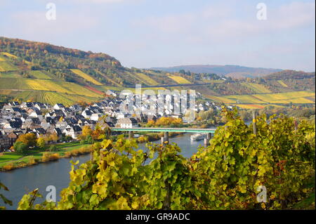 Village viticole, Reil sur la Moselle en automne Banque D'Images