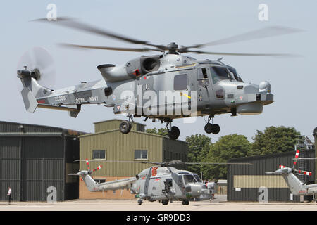 L'hélicoptère Lynx wildcat hma2 zz396 de la marine royale, avec un lynx hma8 dans l'arrière-plan, les Wildcats sont remplacement hma8s dans l'utilisation rn Banque D'Images