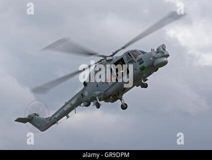 La marine royale britannique construit westland lynx hma.8 ZD260 hélicoptère '313' démontrant les capacités de treuillage à yeovilton Banque D'Images