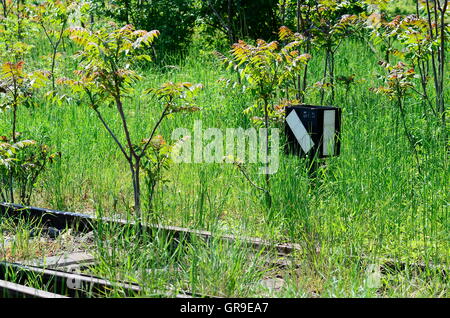 Ancienne ligne de chemin de fer du Nord à Vienne, Premier Train à vapeur dans l'Empire d'Autriche Banque D'Images