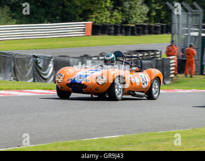 Une voiture de sport Ginetta G4 dans une course à la Oulton Park Motor Racing circuit Gold Cup Meeting près de Tarporley Cheshire Angleterre Royaume-Uni Banque D'Images