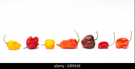 Hot Chillies sur fond blanc Banque D'Images