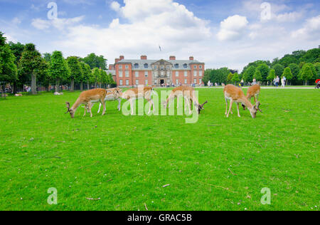 Dunham Massey Park, anciennement la maison du dernier comte de Stamford et administré par le National Trust depuis 1976 Banque D'Images