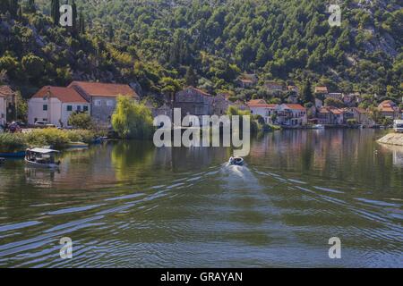 Dans un affluent de la Neretva près de Metkovic sur le delta de Neretva Banque D'Images