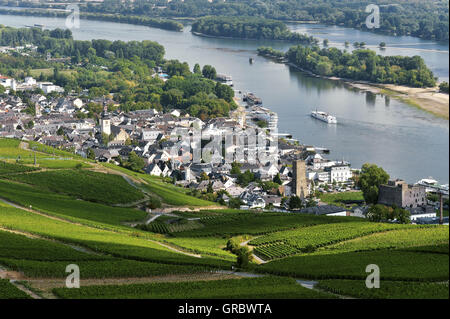 Rüdesheim am Rhein et de vignobles, la Vallée du Haut-Rhin moyen, Allemagne Banque D'Images