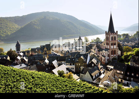 Bacharach ville dans la vallée du Rhin moyen et de la vigne, de la région de la vallée du Haut-Rhin moyen, Allemagne Banque D'Images