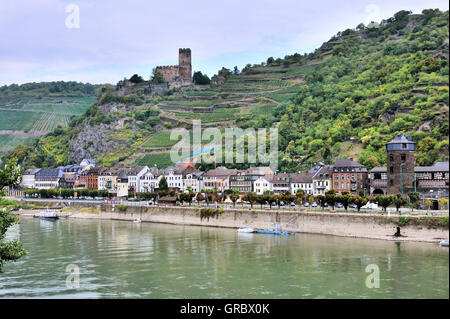 Kaub, les vignobles et le château de Gutenfels Caub, château, ville Kaub, Vallée du Haut-Rhin moyen, Allemagne Banque D'Images