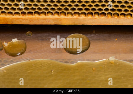 Le miel dégoulinant de miel, réflexion de la lumière des cellules dans le miel d'Abeille Banque D'Images