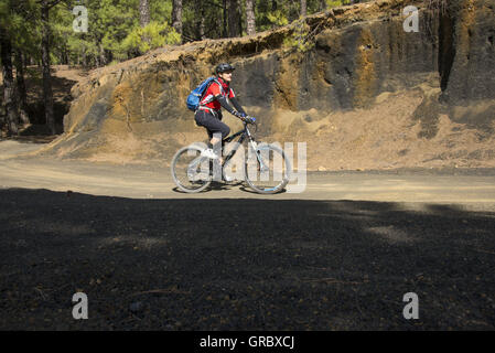 Mountainbiker femelle dans un chandail rouge vtt sur un parcours naturel, dans l'arrière-plan un gros rocher et forêt de pins Banque D'Images